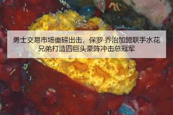勇士交易市场重磅出击，保罗·乔治加盟联手水花兄弟打造四巨头豪阵冲击总冠军